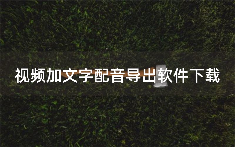 视频加文字配音导出软件下载